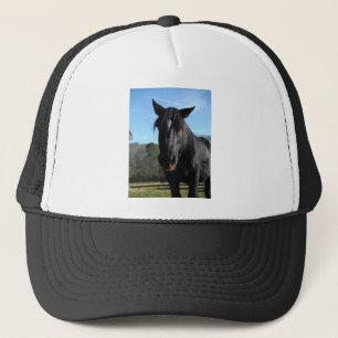 Rescued Black Draught Horse Trucker Hat