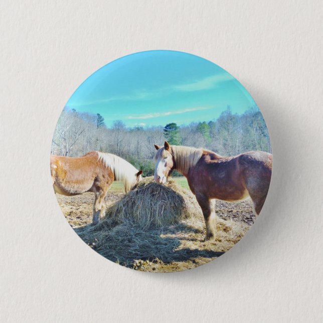 Rescued Draught   Horses eating hay 6 Cm Round Badge (Front)