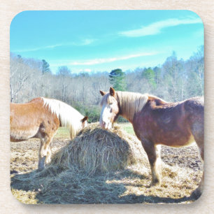 Rescued Draught Horses eating hay Coaster