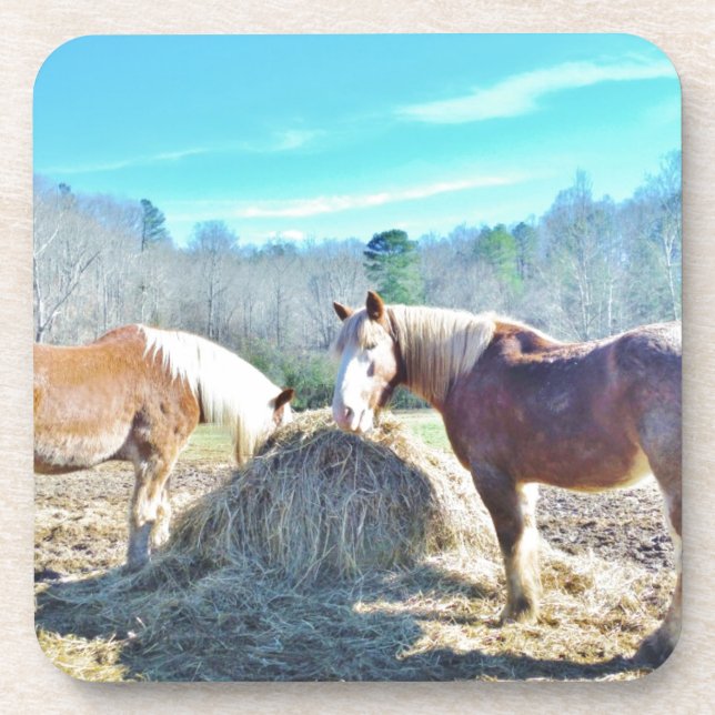Rescued Draught Horses eating hay Coaster (Front)