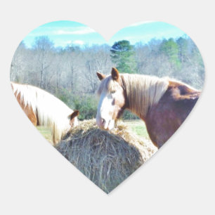 Rescued Draught Horses eating hay Heart Sticker