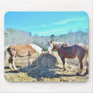 Rescued Draught Horses eating hay Mouse Mat
