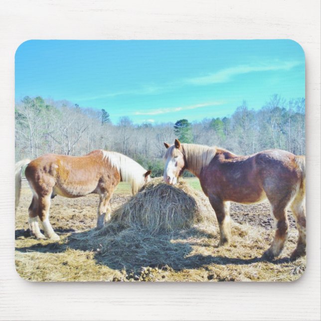 Rescued Draught Horses eating hay Mouse Mat (Front)