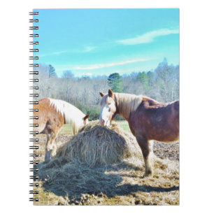 Rescued Draught Horses eating hay Notebook