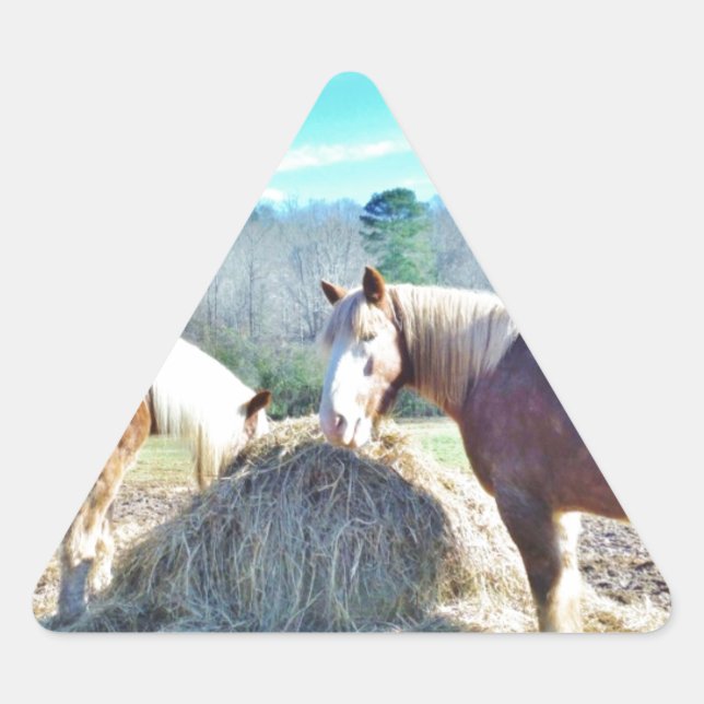 Rescued Draught Horses eating hay Triangle Sticker (Front)
