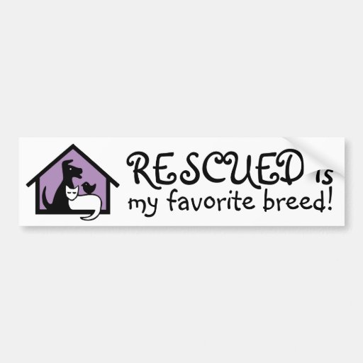 Image of Rescued is my favourite breed! Bumper Sticker