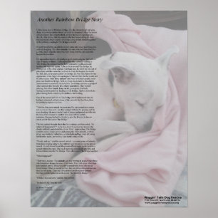 Rescuer's Rainbow Bridge poster