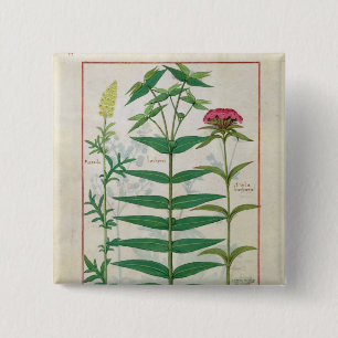 Reseda, Euphorbia and Dianthus 15 Cm Square Badge