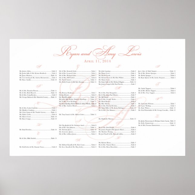 ***RESERVED FOR Ryan+Amy 36x24*** Poster (Front)