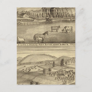 Residence of Alfred A Douglass Postcard