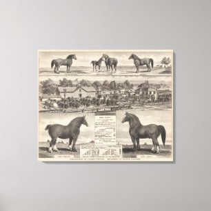 Residence of James Potter, Junction City, Kansas Canvas Print