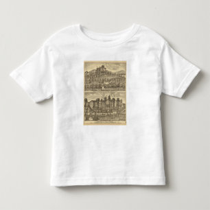 Residence of WH Mooney Toddler T-Shirt