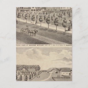 Residences and Farm, Minnesota Postcard