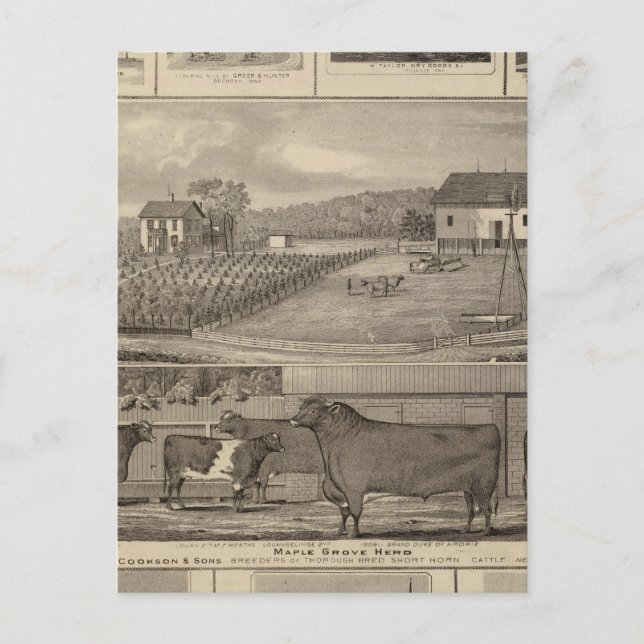 Residences, buildings & churches postcard (Front)