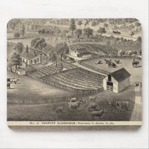 Residences of Charles Alexander Mouse Mat