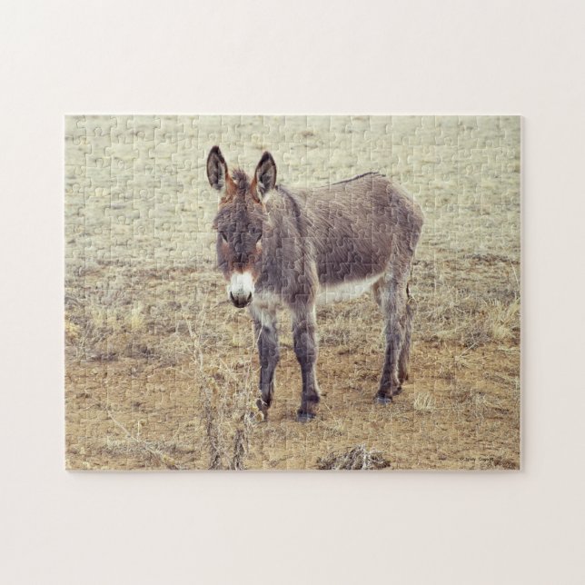 Resident Burro Jigsaw Puzzle (Horizontal)