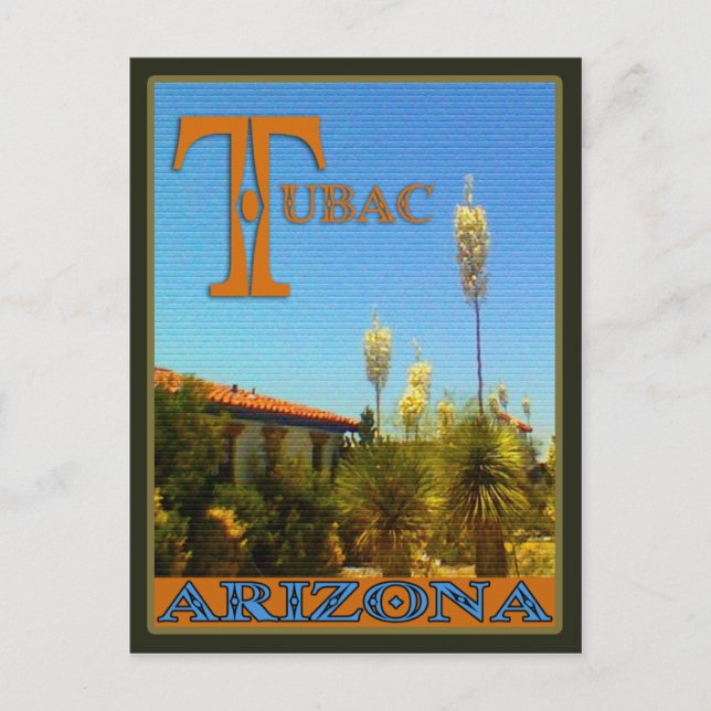 Residental Cactus Scene, Tubac, Arizona postcard (Front)