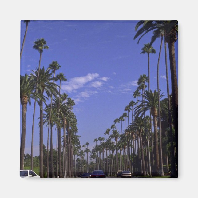 Residential Rodeo Drive, Beverly Hills, California Magnet (Front)
