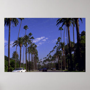 Residential Rodeo Drive, Beverly Hills, California Poster