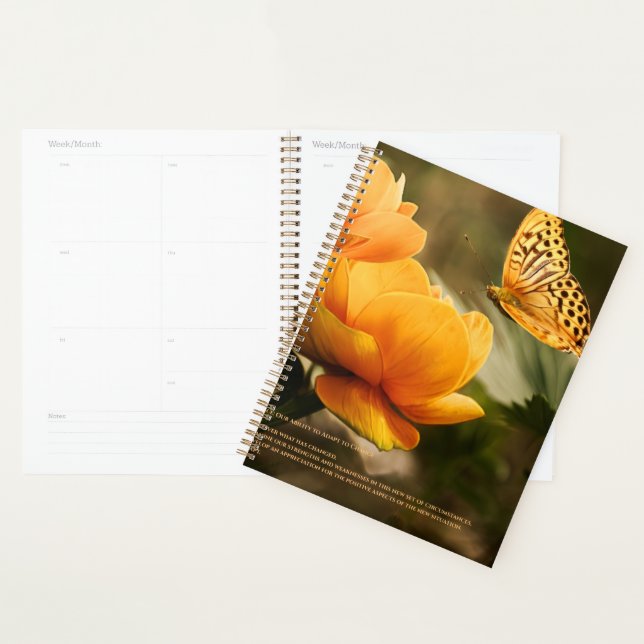 Resilience Calendar Planner (Display)