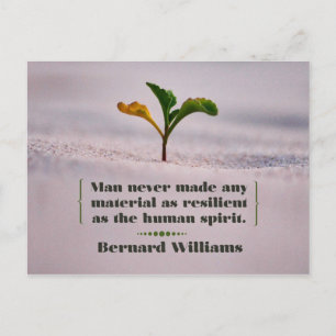 Resilient as the Human Spirit Postcard