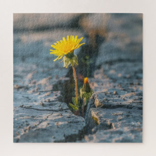 Resilient Dandelion Jigsaw Puzzle
