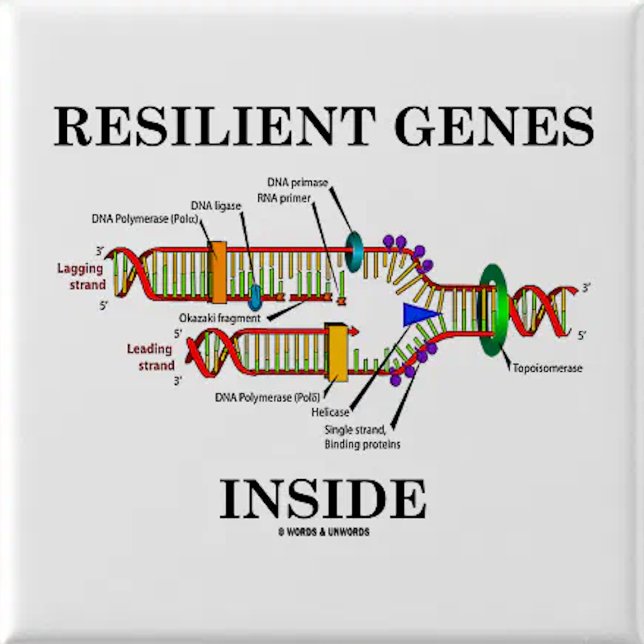 Resilient Genes Inside (DNA Replication) 6 Cm Round Badge (Genetics attitude pinback button for any resilient person)