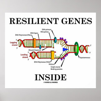 Resilient Genes Inside (DNA Replication) Poster
