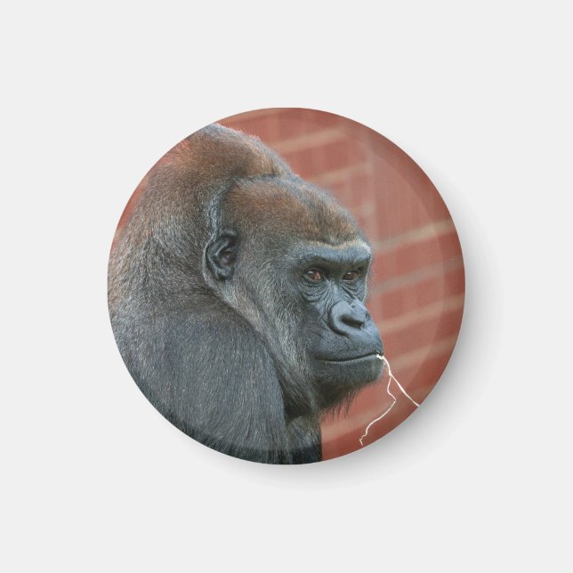 Resilient Gorilla Mother Magnet (Front)
