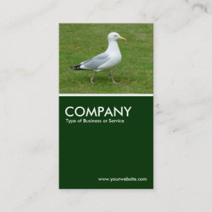 Resolute Seagull - Dark Green Business Card