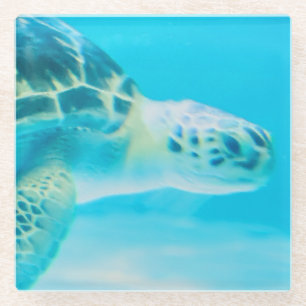 Respect Life, Keep the Ocean Clean Glass Coaster