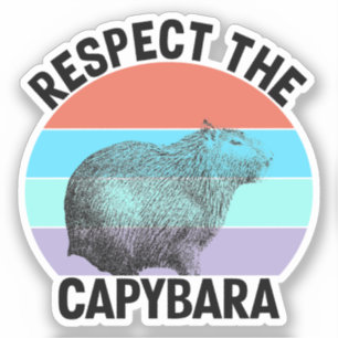 Respect The Capybara Funny Rodent Capybara