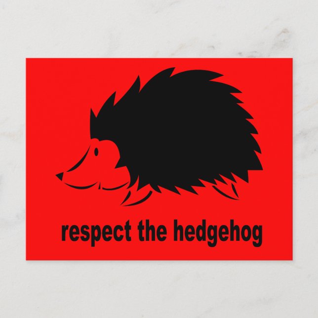 Respect The Hedgehog Postcard (Front)