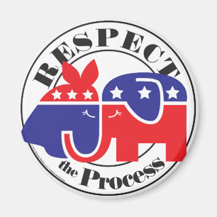 Respect the Process Magnet