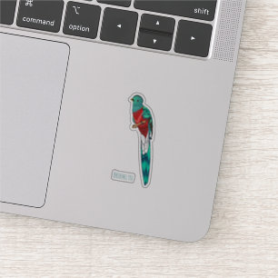 Resplendent quetzal bird cartoon illustration
