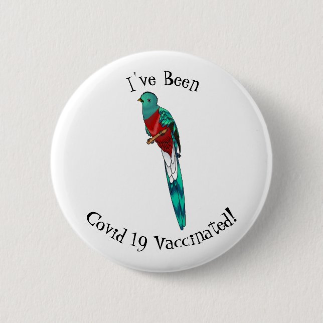 Resplendent quetzal bird cartoon illustration  6 cm round badge (Front)