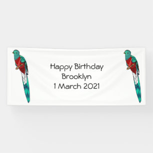 Resplendent quetzal bird cartoon illustration  banner