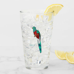 Resplendent quetzal bird cartoon illustration glass