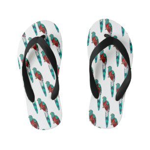 Resplendent quetzal bird cartoon illustration kid's flip flops