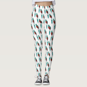 Resplendent quetzal bird cartoon illustration leggings