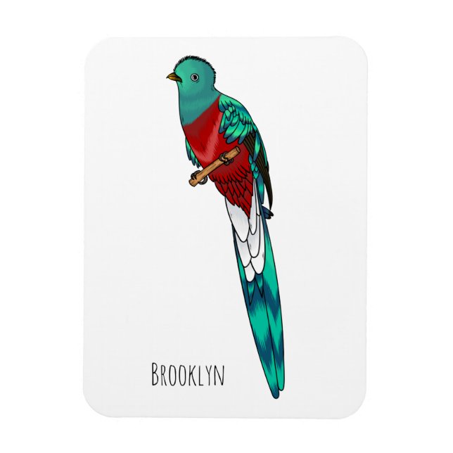 Resplendent quetzal bird cartoon illustration magnet (Vertical)