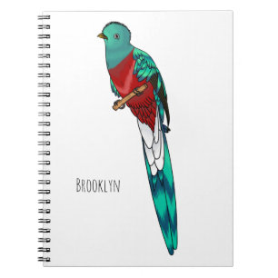 Resplendent quetzal bird cartoon illustration notebook