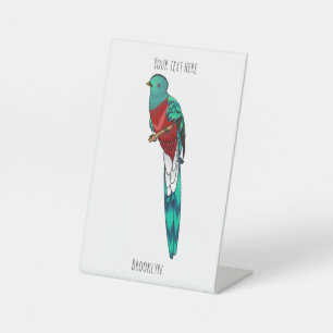Resplendent quetzal bird cartoon illustration pedestal sign