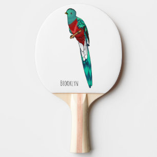 Resplendent quetzal bird cartoon illustration  ping pong paddle