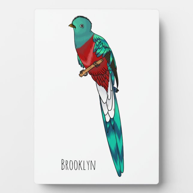 Resplendent quetzal bird cartoon illustration  plaque (Front)
