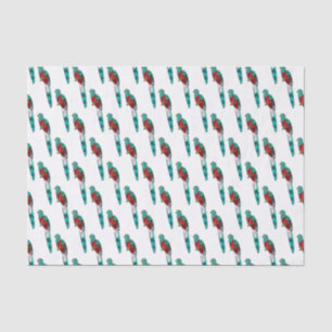 Resplendent quetzal bird cartoon illustration tissue paper