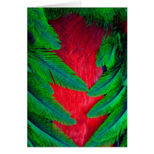 Resplendent Quetzal feather design