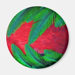 Resplendent Quetzal feather design Magnet