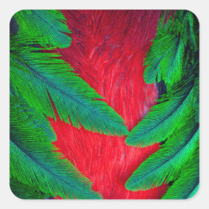 Resplendent Quetzal feather design Square Sticker