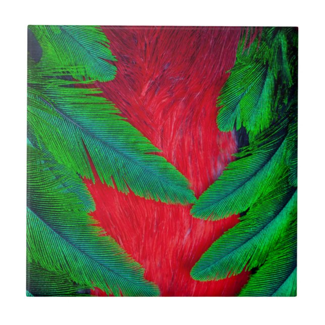 Resplendent Quetzal feather design Tile (Front)